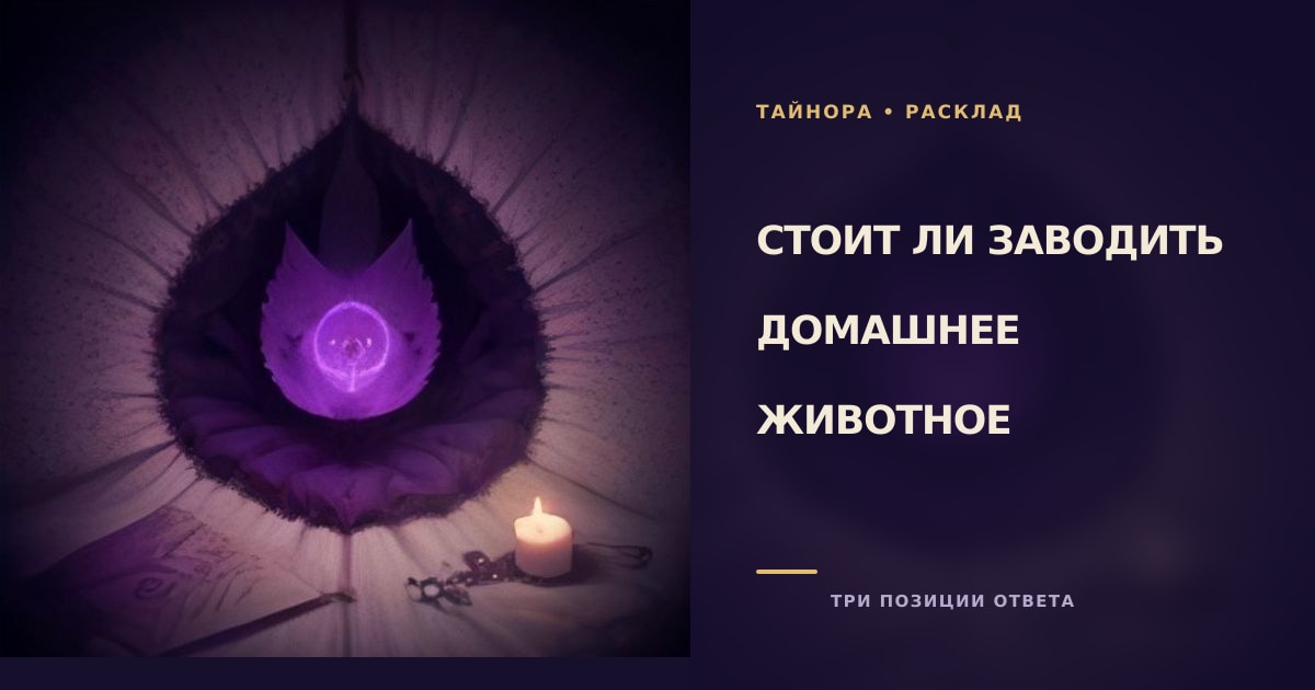 Карты Таро рубашкой вверх на фиолетовой ночной ткани с силуэтом пёрышка и мягким светом